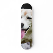 Dogs Beagles Tongues Fur Panting Skate Board Decks