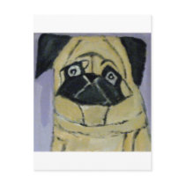 dogs by eric ginsburg postcards