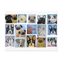 dogs by eric ginsburg