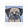 dogs by eric ginsburg post card