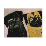 dogs by eric ginsburg post card