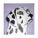 dogs by eric ginsburg t-shirts