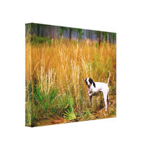 Dogs - Canine - Sporting Breeds Canvas Print