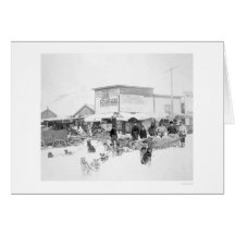 Dogs Carrying Food Alaska 1924 Greeting Card