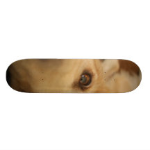 Dog's Eye Custom Skate Board