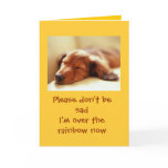 Dogs Going Over the Rainbow Greeting Card