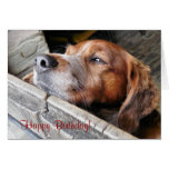 DOGS GREETING CARD