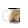 Dogs Mugs
