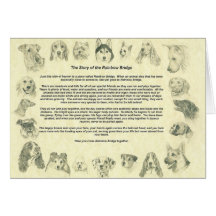 Dogs Notecard with The Rainbow Bridge