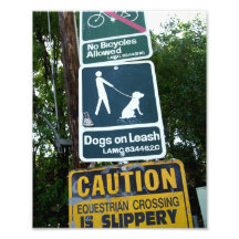Dogs On Leash Photo