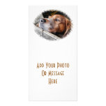 DOGS PHOTO GREETING CARD