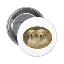 Dogs Pins