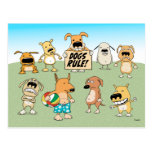 Dogs Rule postcard