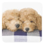 Dogs Stickers