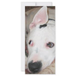 dogsmay2006 custom rack card