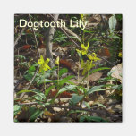 Dogtooth Lily Magnet