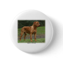 Dogue de Bordeaux 9Y201D-159 Pinback Button