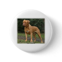 Dogue de Bordeaux 9Y201D-193 Pinback Buttons