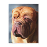 Dogue de Bordeaux Art - Stormy Dogue Postcards