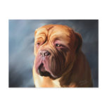 Dogue de Bordeaux Art - Stormy Dogue Postcards