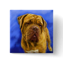 Dogue de Bordeaux Buttons