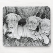 Dogue de bordeaux mousepad