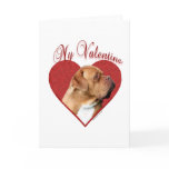 Dogue de Bordeaux My Valentine Greeting Cards