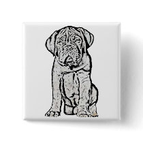 Dogue de Bordeaux puppy button
