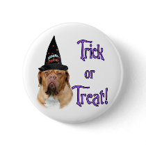 Dogue de Bordeaux Trick