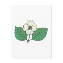Dogwood Blätter Blüte leaves blossom Postkarte