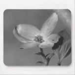 Dogwood Bloom Mouse Pads