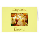 Dogwood Blooms Card