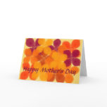 Dogwood Blooms, Mother's day card