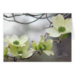 Dogwood branch--add your own words cards