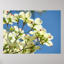 DOGWOOD FLOWERS Art Print OFFICE GIFTS Floral