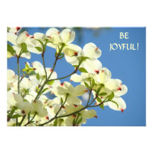 DOGWOOD FLOWERS Invitations Blue Sky Announcements