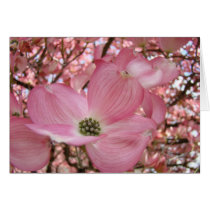 DOGWOOD FLOWERS Pink 1 Cards Art Gifts Mugs