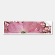 DOGWOOD FLOWERS Pink 1 Cards Art Gifts Mugs Bumper Sticker