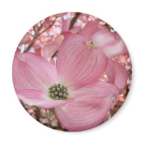 DOGWOOD FLOWERS Pink 1 Cards Art Gifts Mugs