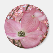 DOGWOOD FLOWERS Pink 1 Cards Art Gifts Mugs Refrigerator Magnets
