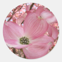 DOGWOOD FLOWERS Pink 1 Cards Art Gifts Mugs Round Sticker
