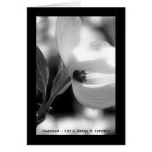 Dogwood Greeting Card