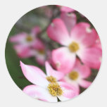 Dogwood in the Spring Round Sticker