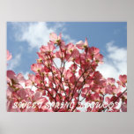 DOGWOOD Pink Flowers 7 Nature Art Prints Posters