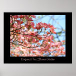 Dogwood Tree Flower Garden art prints Botanical