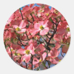 Dogwood tree Pink flowers Round Stickers