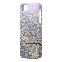 Dogwoods Bloom on Patriot's Day in Concord MA iPhone 5 Cover