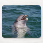 Dolfin Mouse Mats