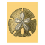 Dollar de sable d'or cartes postales
