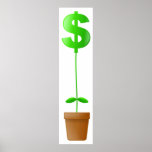 Dollar Plant Posters